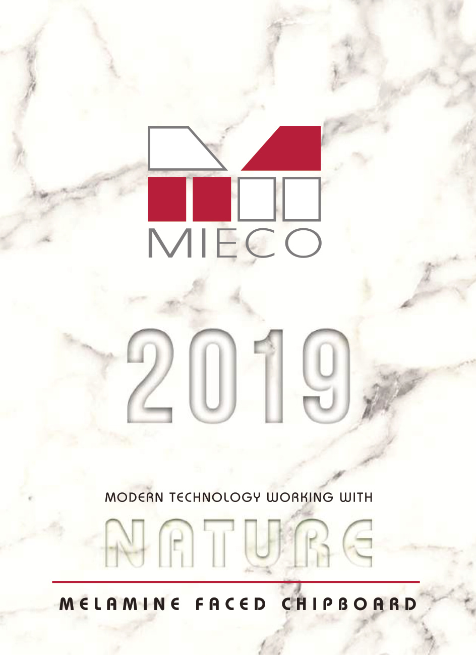 MIECO Magazine 2019