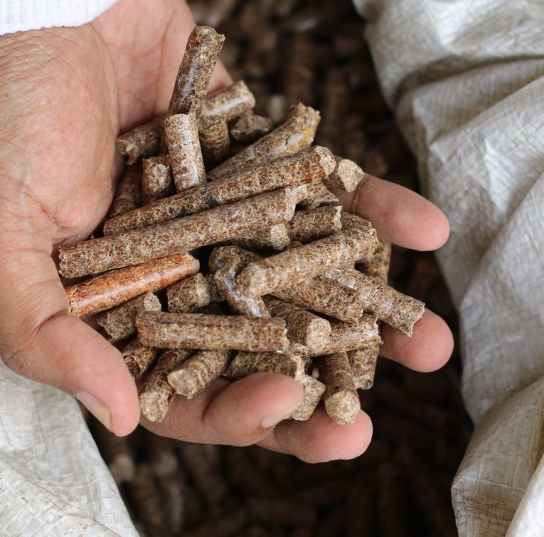 vecteezy_hand-of-a-grown-man-holding-a-wood-pellet_10647164 (1)
